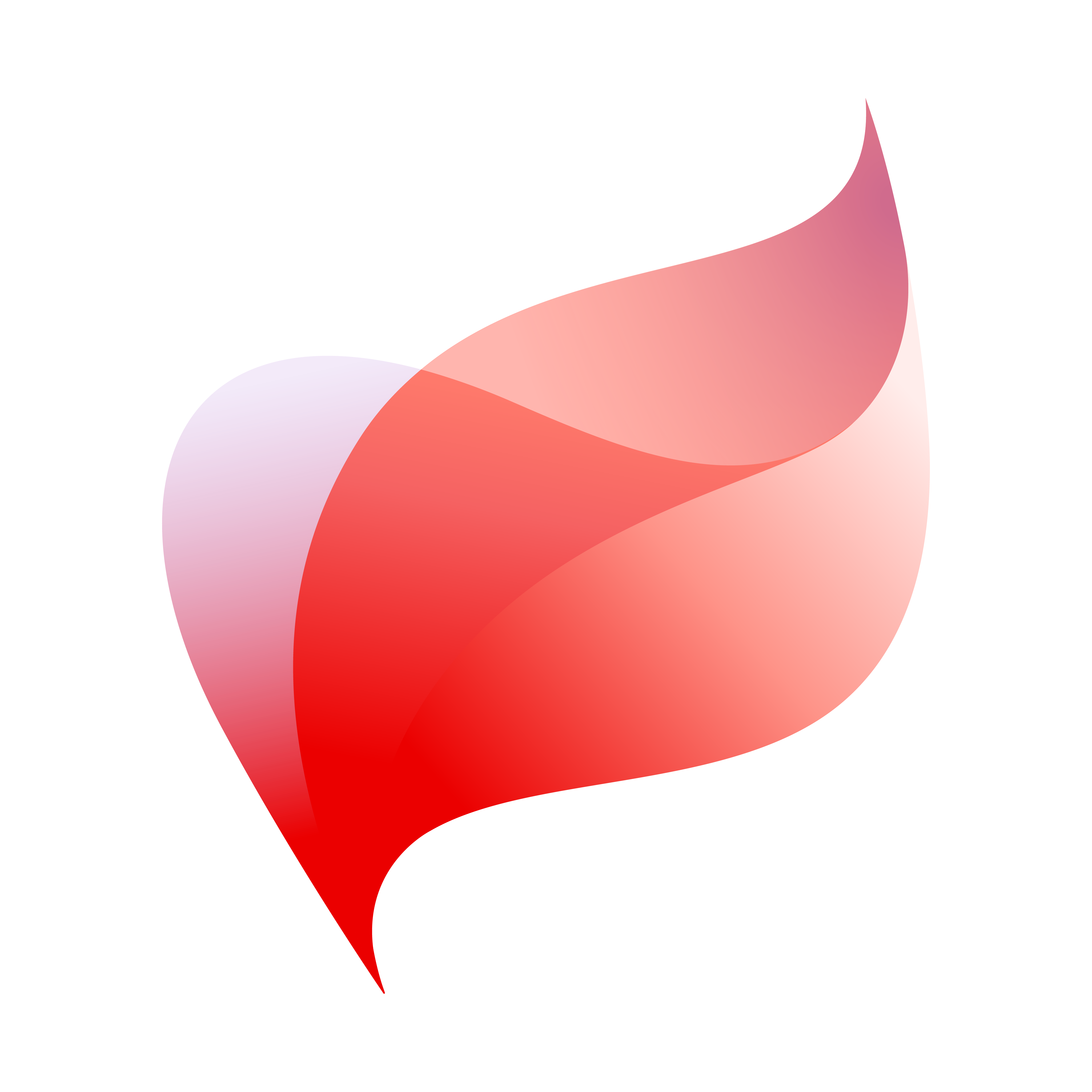 eAccounting_logomark