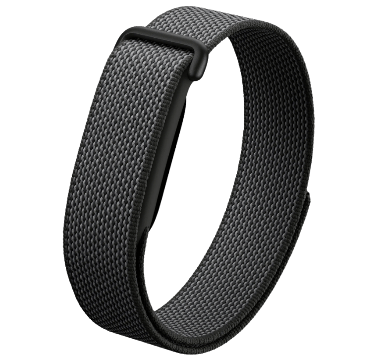 google fitbit air small